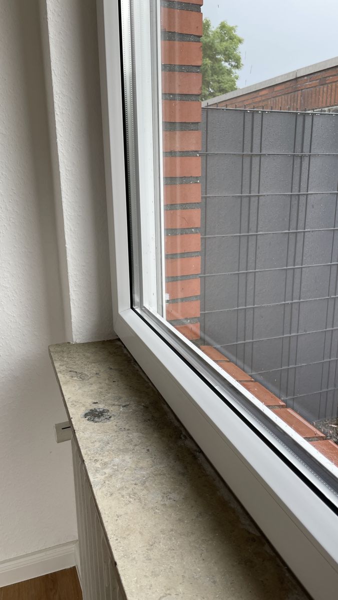 Fensterreinigung in Papenburg – streifenfrei gereinigte Fensterscheibe im Vorher-Nachher-Vergleich – nach der Reinigung