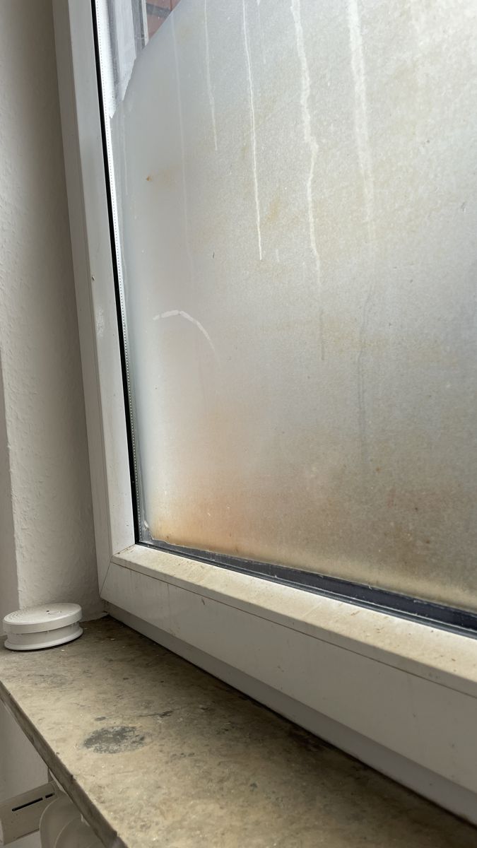 Fensterreinigung in Papenburg – streifenfrei gereinigte Fensterscheibe im Vorher-Nachher-Vergleich – vor der Reinigung