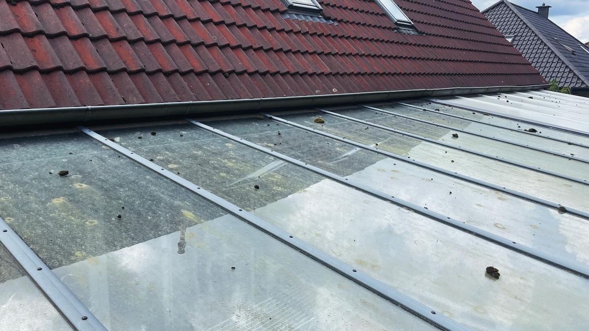 Glasdachreinigung im Emsland – verschmutzte Glasflächen eines Terrassendachs vor der Reinigung