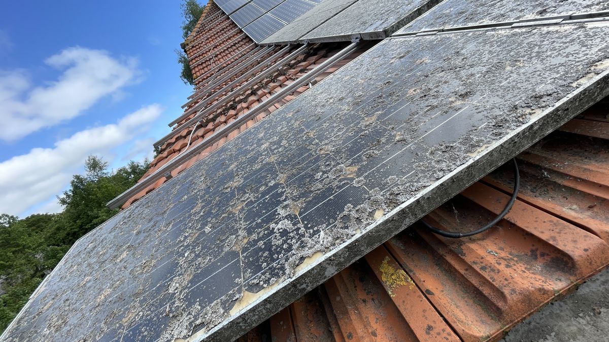 Photovoltaik-Reinigung in Lingen – Solarmodule vor und nach der professionellen Reinigung – vor der Reinigung